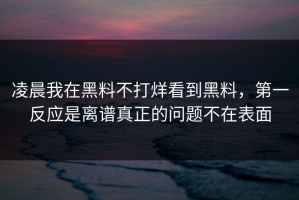 凌晨我在黑料不打烊看到黑料，第一反应是离谱真正的问题不在表面
