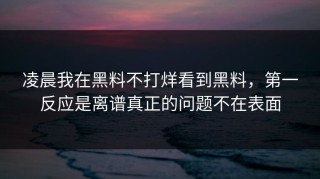 凌晨我在黑料不打烊看到黑料，第一反应是离谱真正的问题不在表面